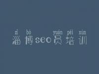 淄博seo员培训 网站建设教程