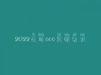 2022抚顺seo黑帽培训_精品黑帽实操