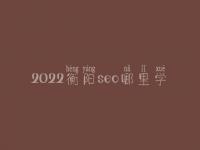 2022衡阳seo哪里学_培训班_联系方式