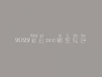 2022章丘seo哪里较好_价格需多少