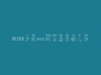 2022济南seo网站建设哪儿好_seo学完好找工作吗