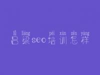吕梁seo培训怎样_优化关键字