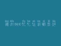朔州seo优化培训哪家好 最新seo优化视频教程