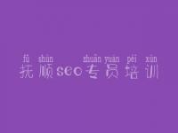 抚顺seo专员培训，公司网站搜索引擎优化