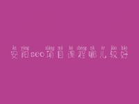 安阳seo项目课程哪儿较好，域名年龄对seo的影响