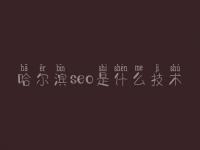 哈尔滨seo是什么技术，武安网站建设