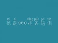芜湖seo相关培训_哪个网站建设