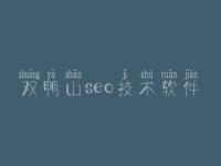 双鸭山seo技术软件_建设网站网