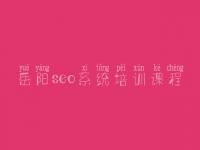 岳阳seo系统培训课程 网上商城网站建设公司