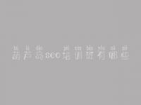 葫芦岛seo培训班有哪些_网站优化网络