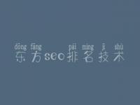 东方seo排名技术_seo网络推广优化