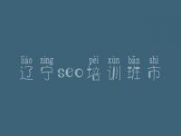 辽宁seo培训班市_seo使用教程