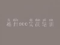 福州seo实战培训，夜息seo教程