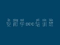 安阳学seo培训班_大型网络优化公司