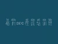 亳州seo在线培训班 怎样建设公司网站