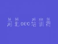 河北seo培训费，网站优化公司推荐