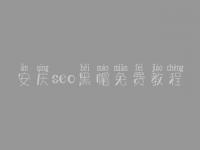 安庆seo黑帽免费教程_高级黑帽实战