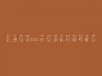 合肥培训seo的培训机构都有哪些，国外网站优化