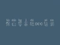 保山零基础seo培训_网站建设好吗
