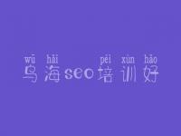 乌海seo培训好，网站优化教程视频