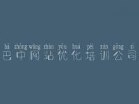 巴中网站优化培训公司 网站建设速成