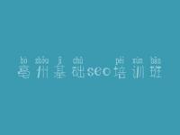 亳州基础seo培训班，大学网络建设