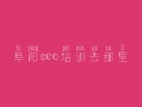 阜阳seo培训去那里_seo优化技术教程