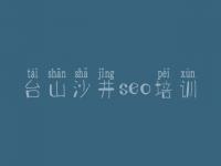 台山沙井seo培训_针对别人网站优化