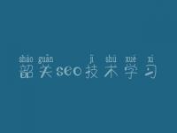 韶关seo技术学习_网站开发建设公司