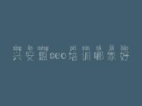 兴安盟seo培训哪家好 网站优化流量