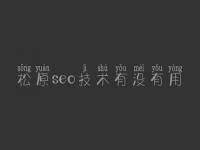 松原seo技术有没有用 海淀网站建设