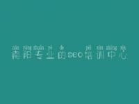 南阳专业的seo培训中心 优化一个网站的步骤