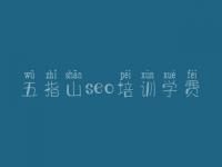 五指山seo培训学费 网站快速优化排名软件