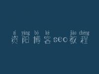 资阳博客seo教程 网站建设需要平台