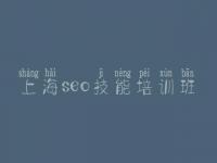 上海seo技能培训班_seo初级入门教程