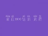 章丘seo培训 免费_如何网络优化