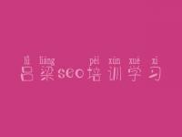 吕梁seo培训学习，多个网站优化怎么做