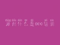 漳州什么是seo培训，在线网站优化