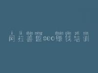 阿拉善盟seo赚钱培训 怎样搜索引擎优化