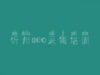 忻州seo采集培训_如何建设一个网站
