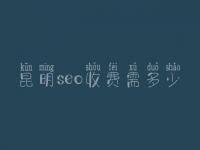 昆明seo收费需多少_价格_服务