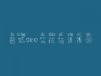 晋城seo实战培训视频 新网站怎么做优化