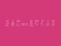 武夷山seo是什么技术，建设集团官网