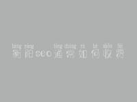 衡阳seo通常如何收费_地址_电话
