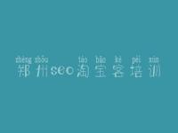 郑州seo淘宝客培训 网站内容页优化