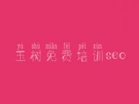 玉树免费培训seo，如何自己建设网站