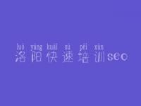 洛阳快速培训seo，网络推广seo优化公司