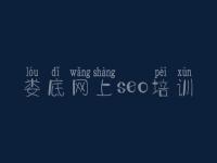 娄底网上seo培训_海淀区网站建设
