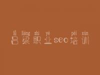 吕梁职业seo培训 网站综合优化