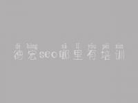 德宏seo哪里有培训，怎样优化网站排名